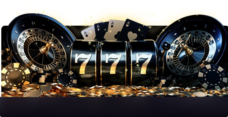 219 bet