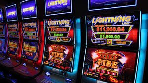 219 bet